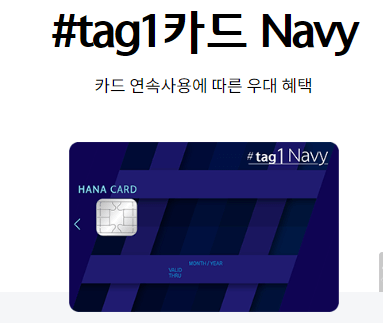 에버랜드 , 롯데월드, 서울랜드, 캐리비안베이 할인 카드