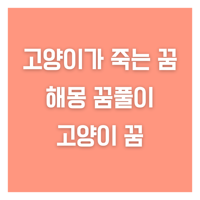 고양이가 죽는 꿈 해몽 꿈풀이 고양이 꿈