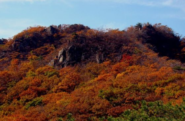 2025 팔공산 단풍 절정 시기 공개! 초보자도 즐기는 가을 등산코스 BEST