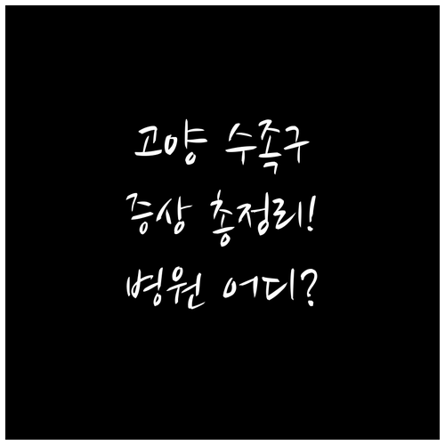 고양 덕양구 수족구 증상과 병원 정보..