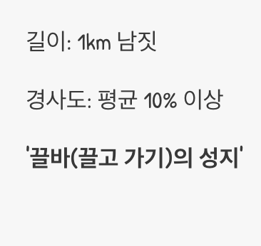 짧고 굵은 절망&amp;#44; 박진고개의 벽