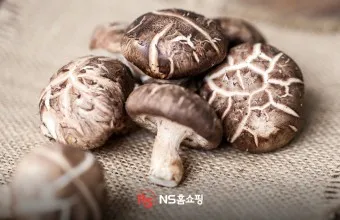 표고버섯 효능_21
