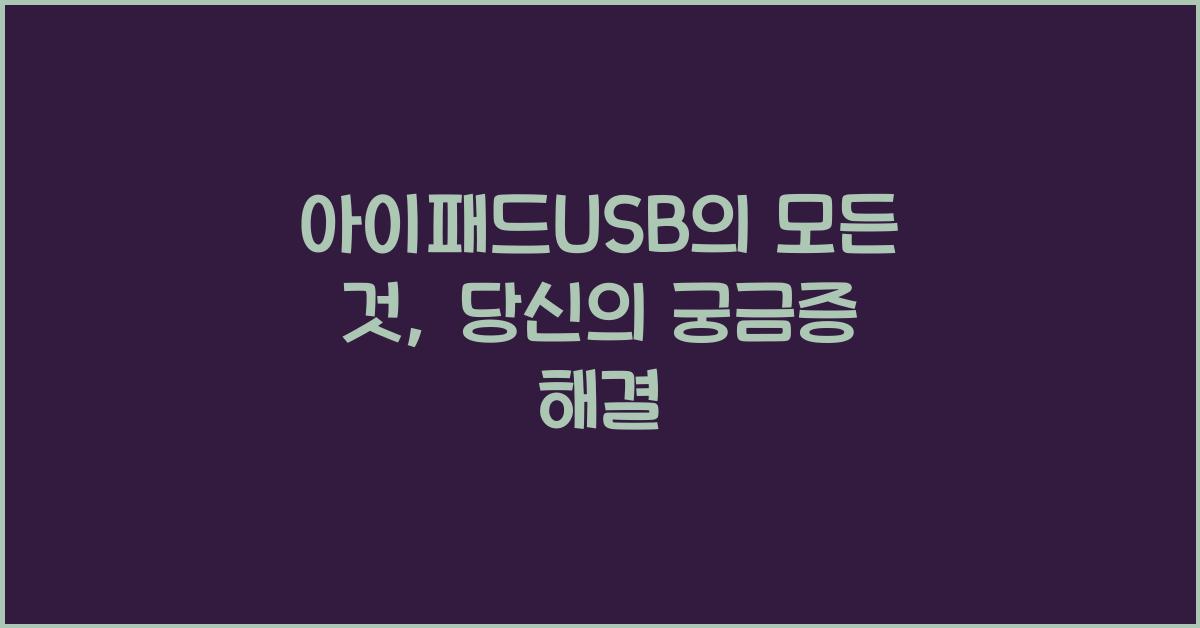 아이패드USB