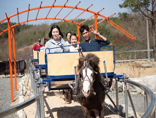 홀스파크