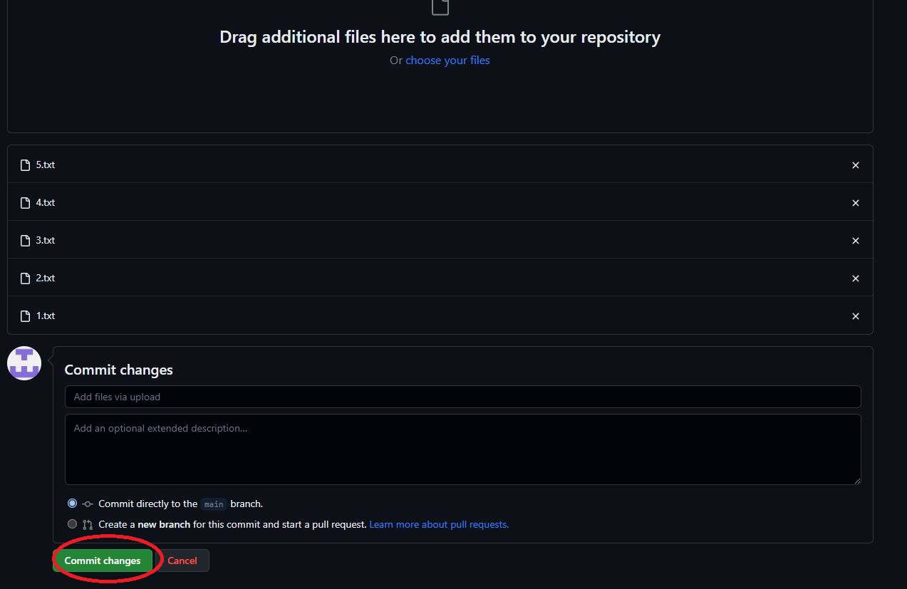 깃코인 패스포트