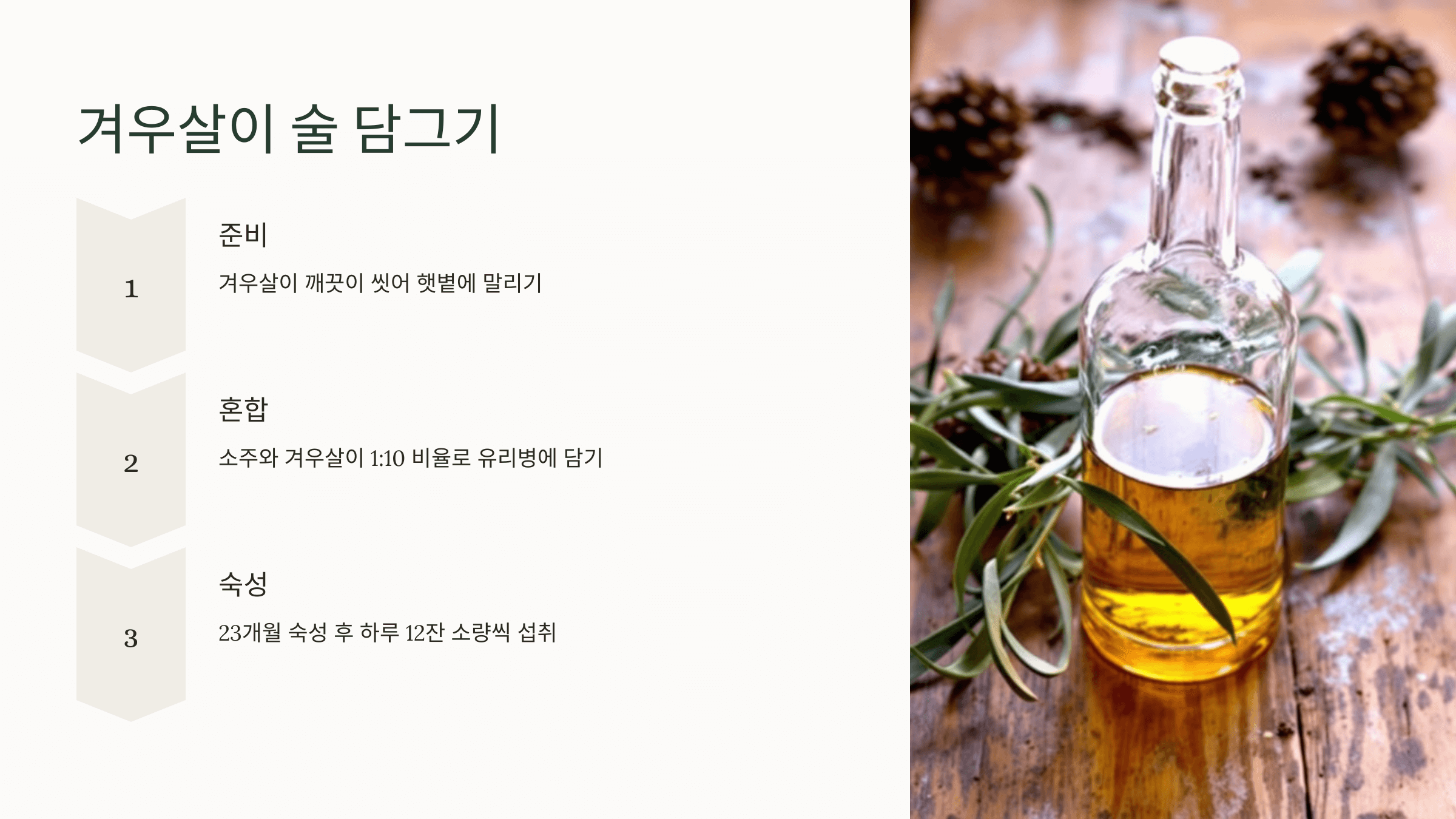 겨우살이 사진입니다.