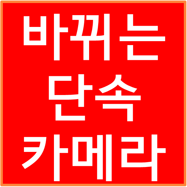 속도위반 신호위반 과속 단속 카메라