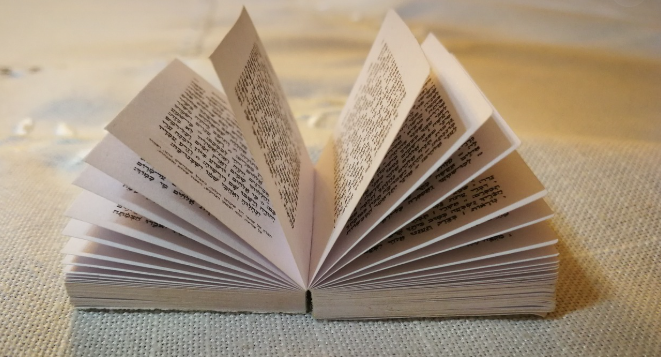 유대인의 책 관련 사진