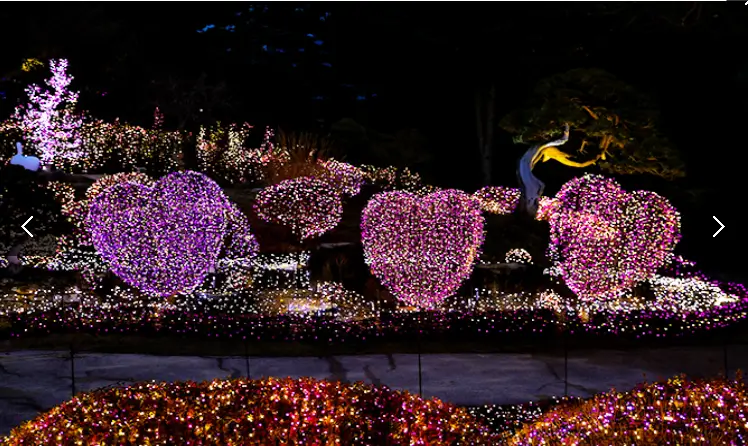 겨울 축제 가볼만한 곳 아침고요 수목원 오색별빛정원전