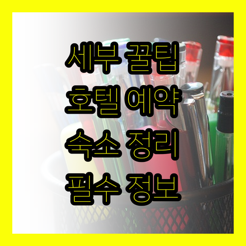 세부 여행 필수 정보.. 고랜드, 캐