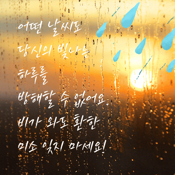 봄비 인사말 비오는 날 인사말 문구 이미지 모음