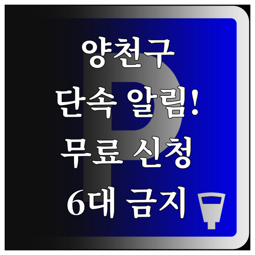 양천구 주정차 단속 알림 서비스 무료..