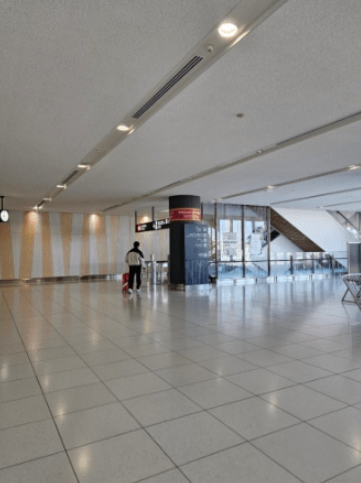 금액 상상이상으로 싼 버젯 렌트카 후기&amp;#44; 4일 렌트 14만원?