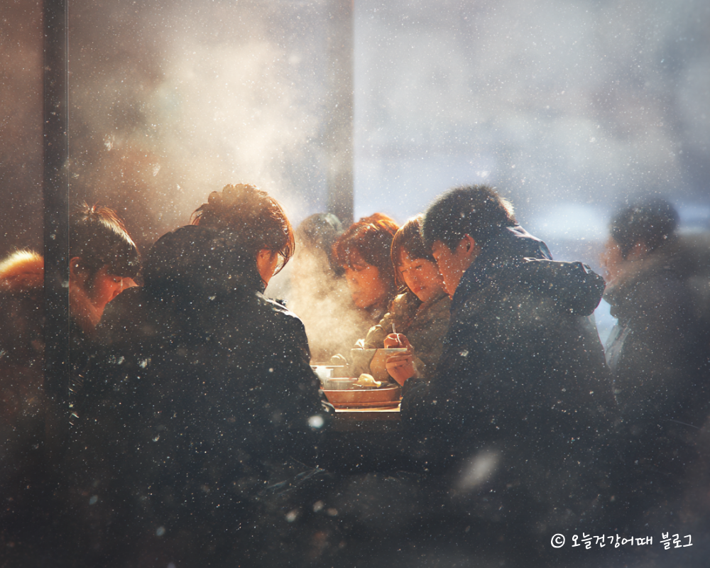 겨울위장염, 노로바이러스, 집단감염, 신년회 식중독, 겨울 식중독 증상