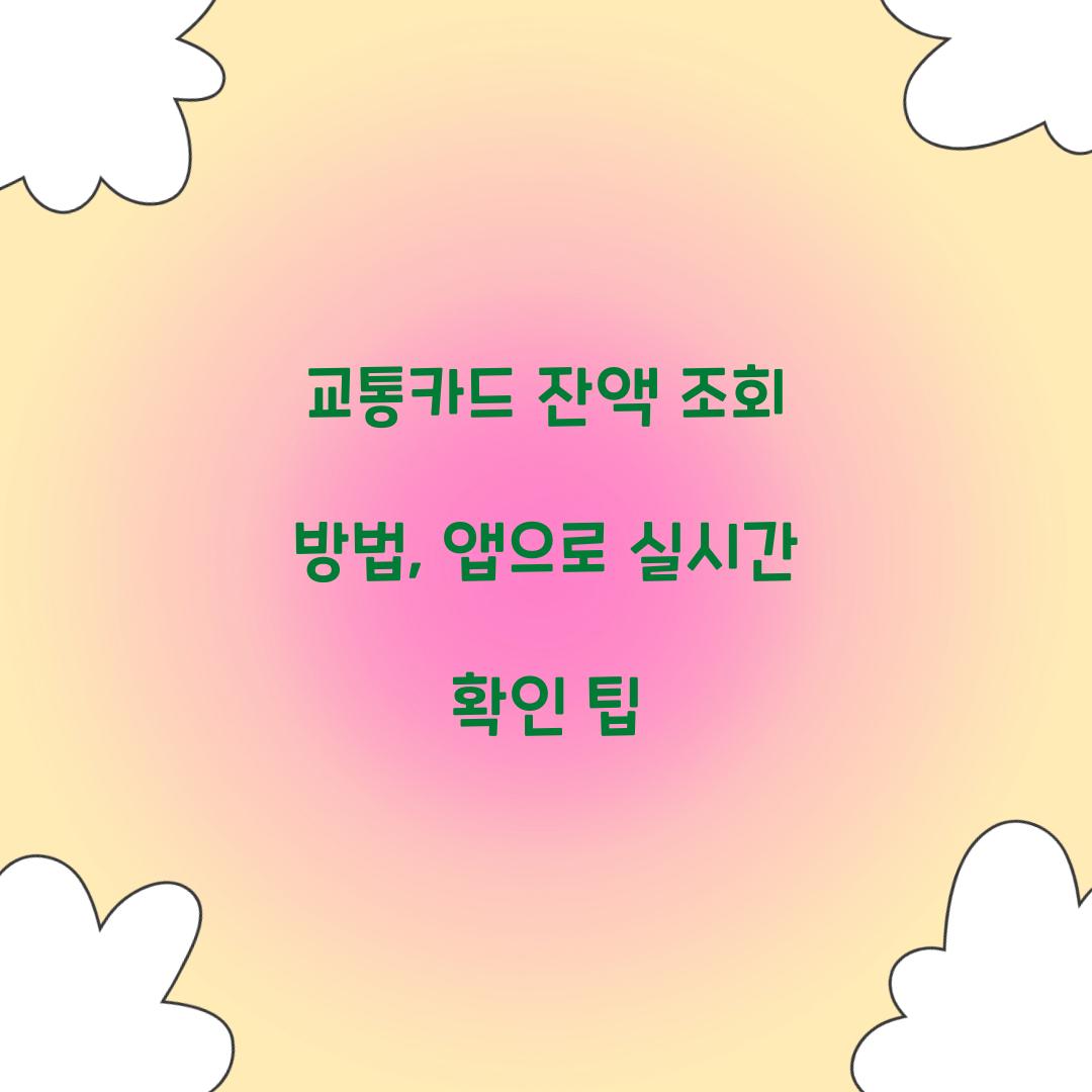 교통카드 잔액 조회