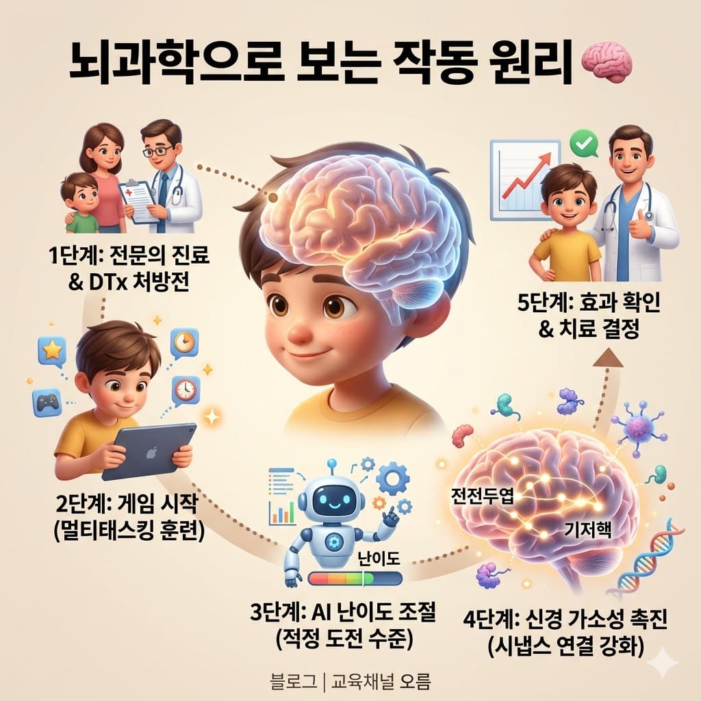뇌과학으로 보는 작동 원리