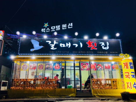 태안 튤립축제