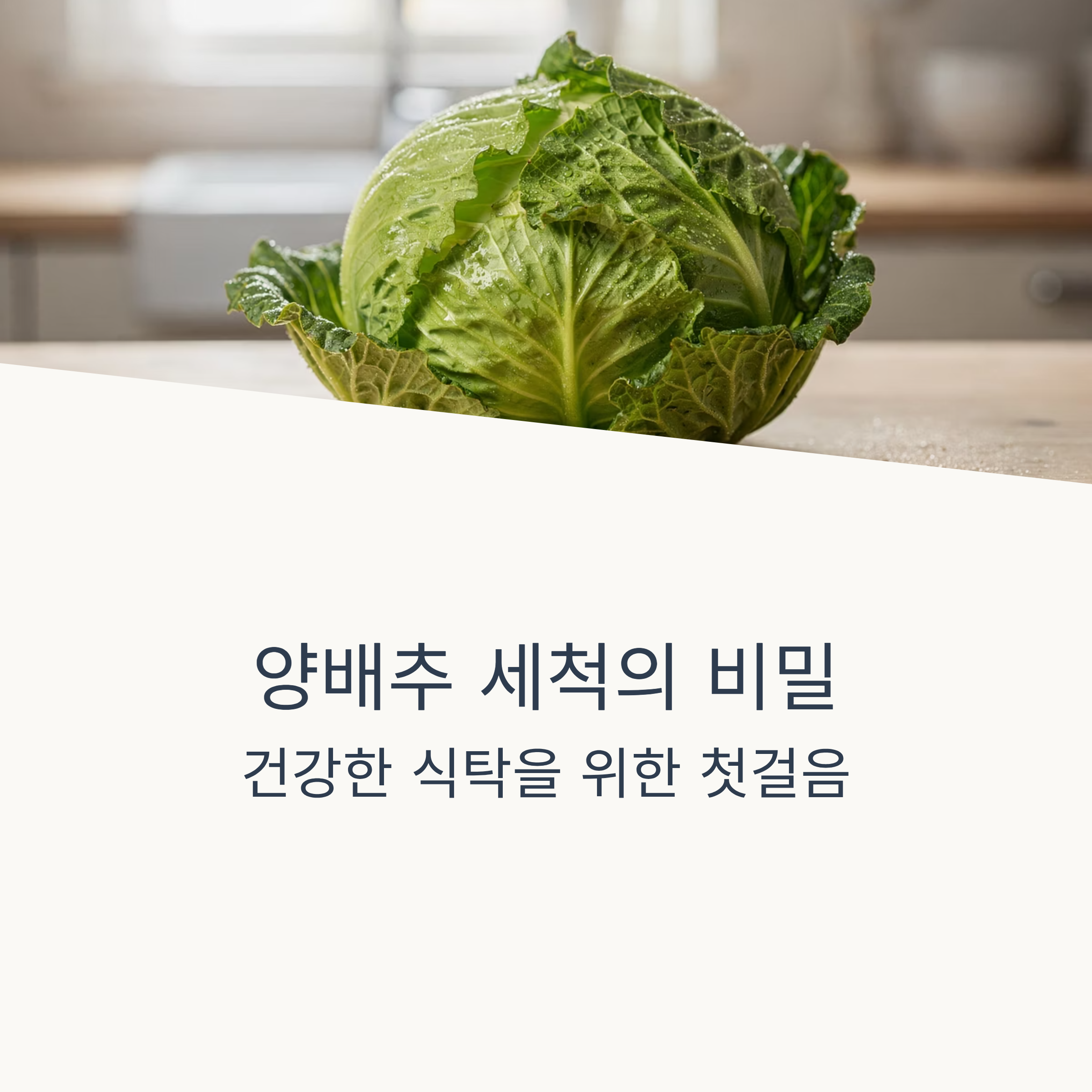양배추 맛있게 완벽한 세척법