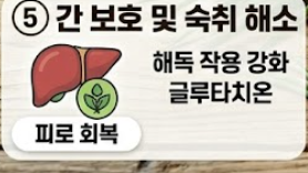 양파 효능