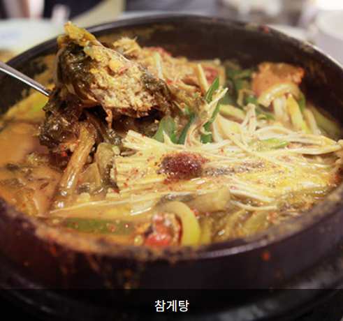 곡성장미축제