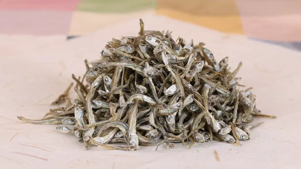 멸치 사진