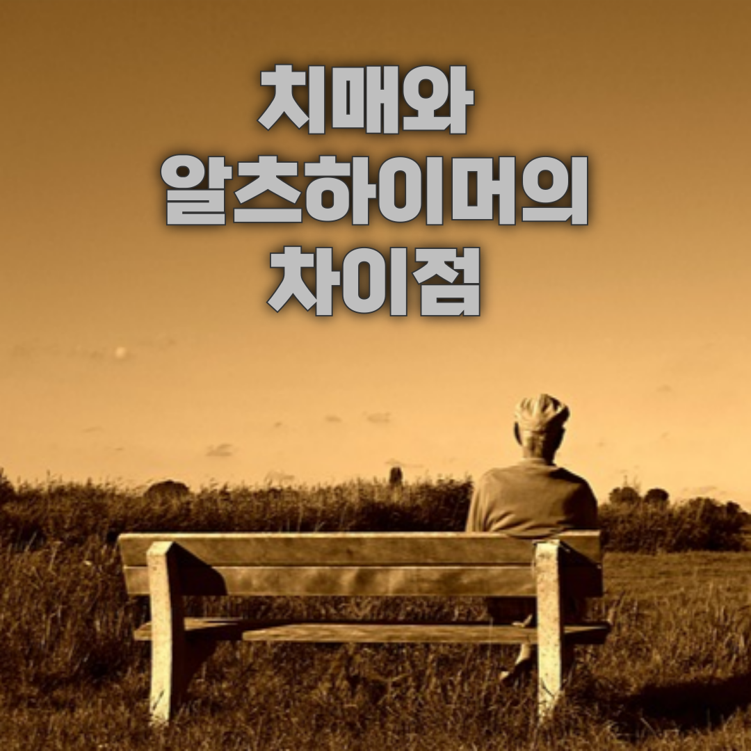 치매와 알츠하이머의 차이점