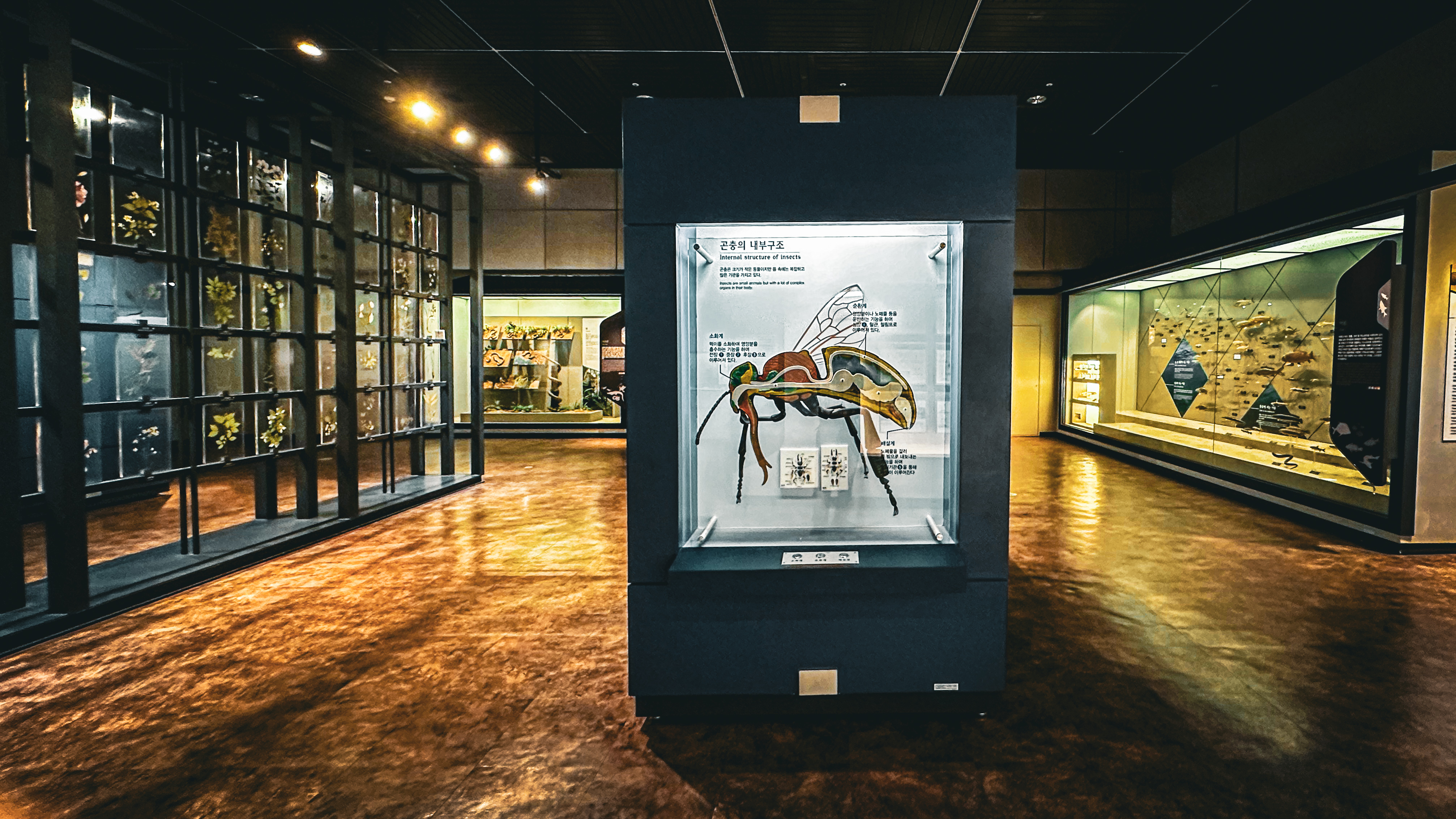 국립 중앙 과학관