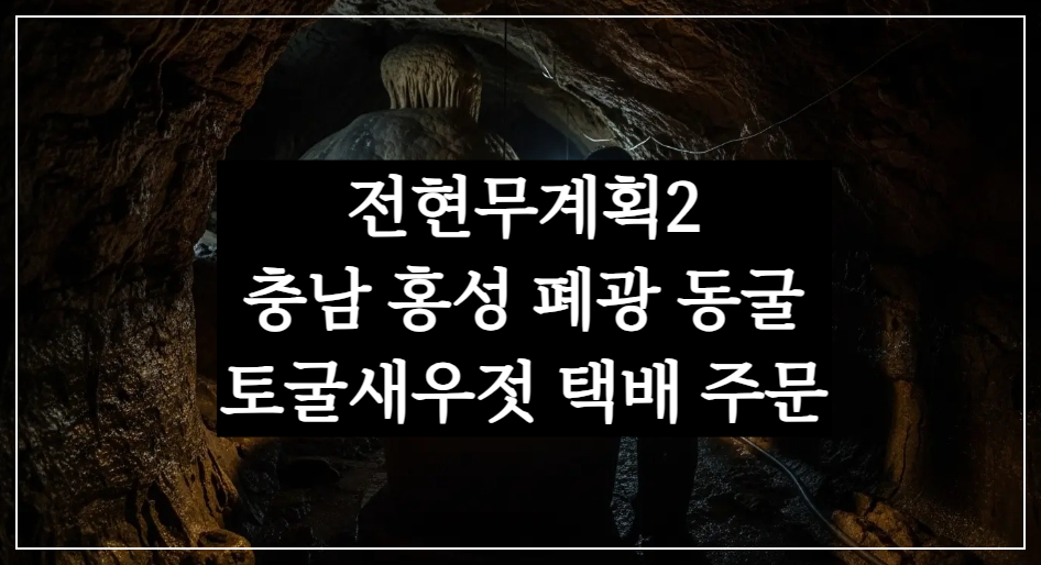전현무계획2 충남 홍성 광천 수육젓갈백반 맛집, 중앙토굴새우젓 택배 주문