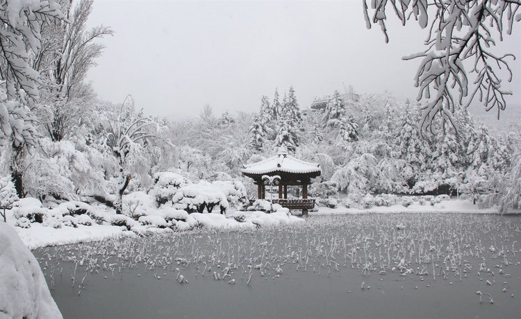 1월에 떠나기 좋은 국내여행지 경상도 겨울 여행지 3곳 경주 통영 산청 추천