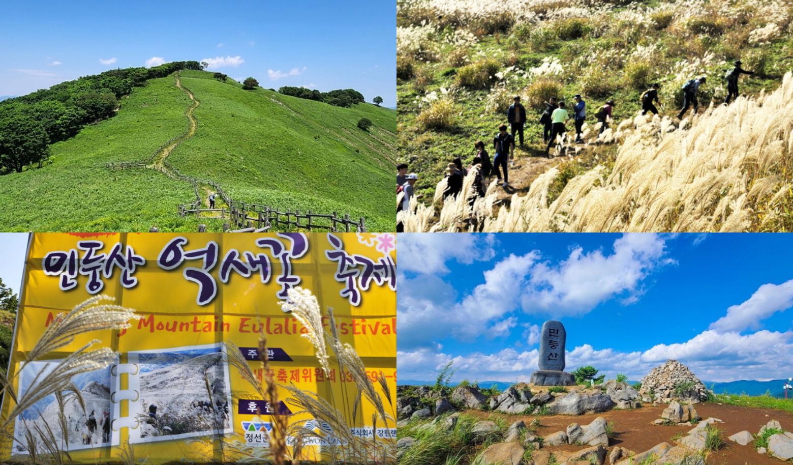 민둥산 억새꽃축제