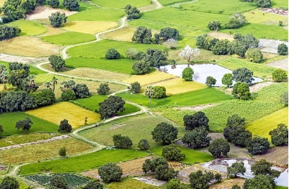 영농 경력 5년 쉽게 하는 법: 농지연금