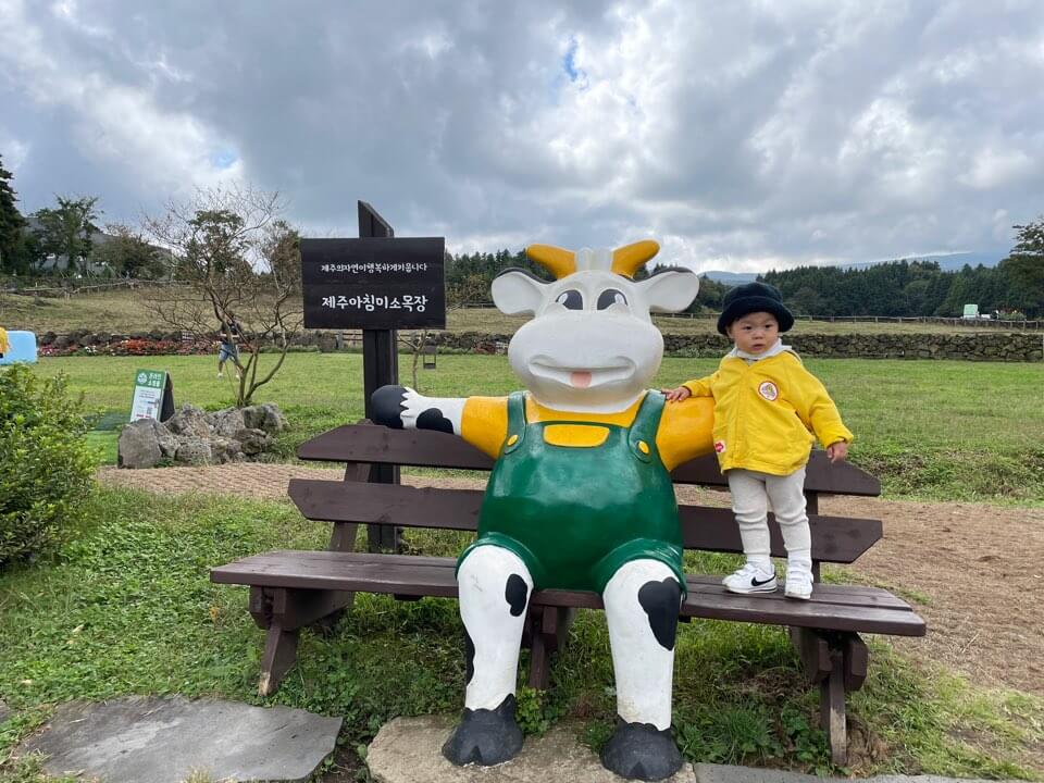 가을 아기와 함께 제주도 여행 아침미소목장