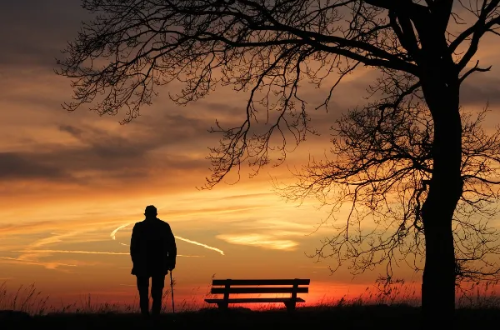 일몰 치매 노인 황혼 외로움