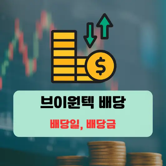 회사 개요