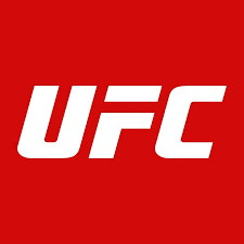 UFC 완벽가이드 경기일정 주요인물 인기이유