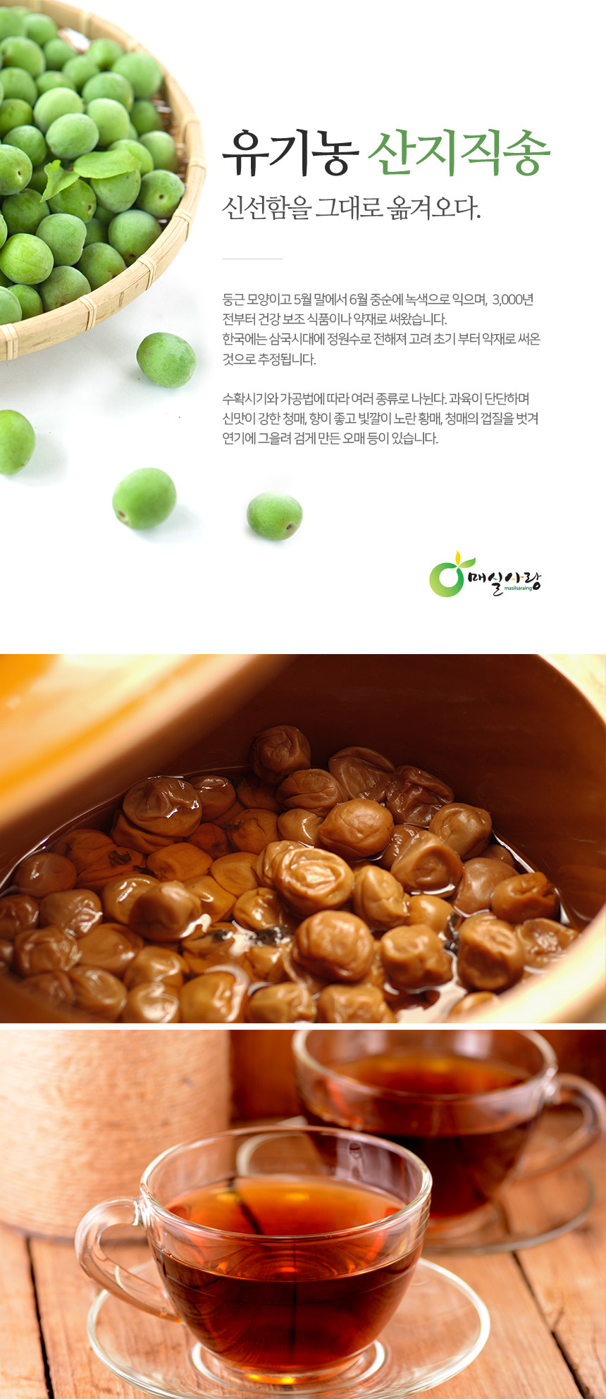 생방송투데이 광양 매실