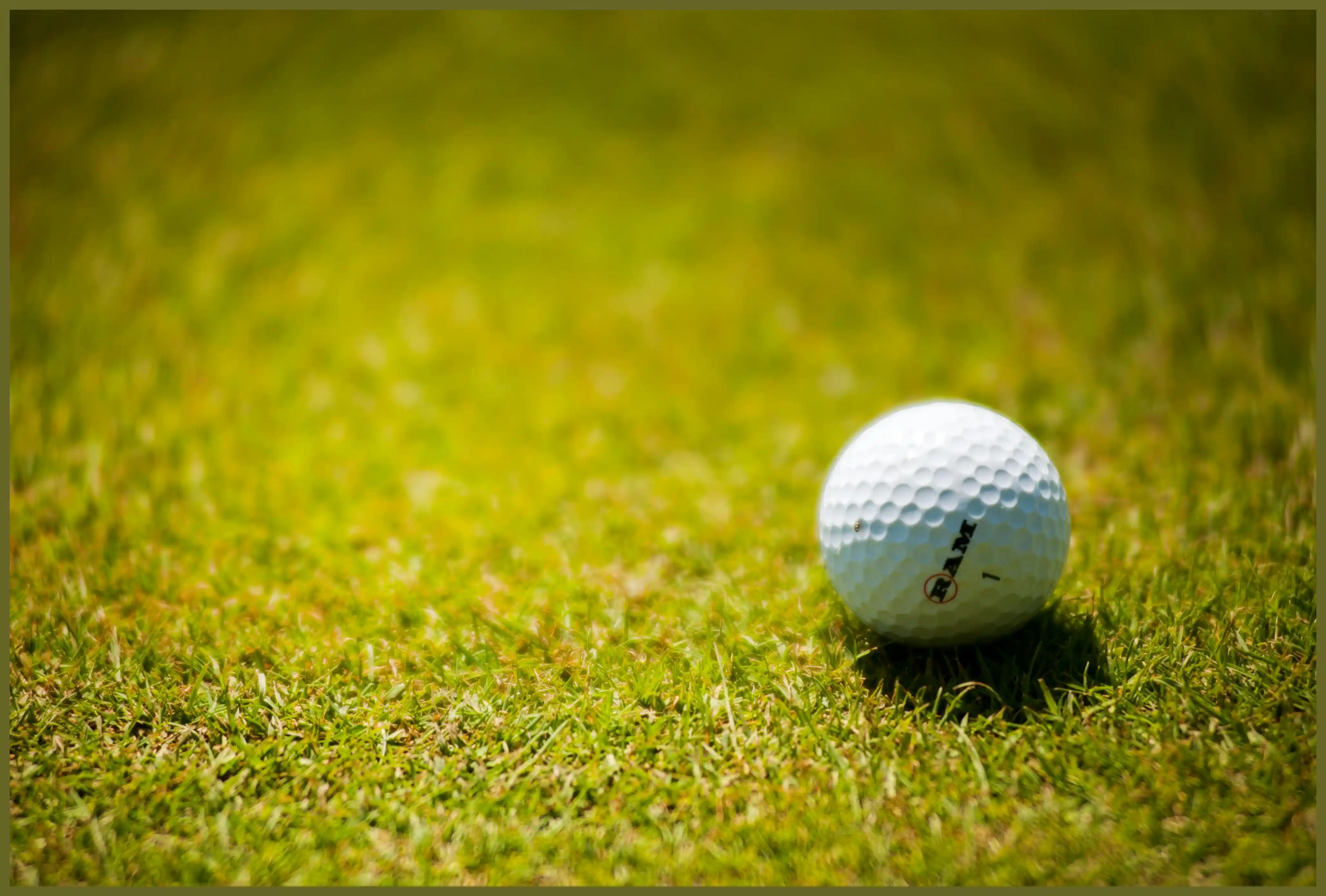 파크골프 용어 정리 해설 점수 계산법