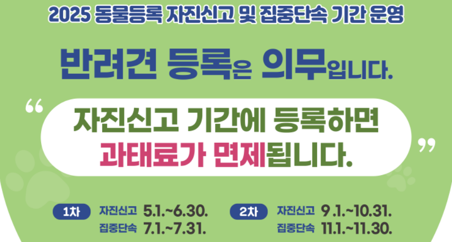 반려동물등록제 이미지