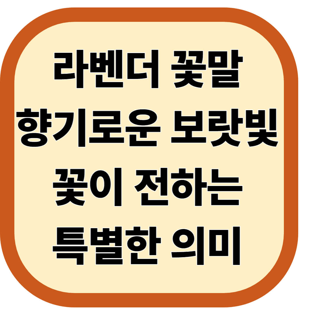 라벤더 꽃말