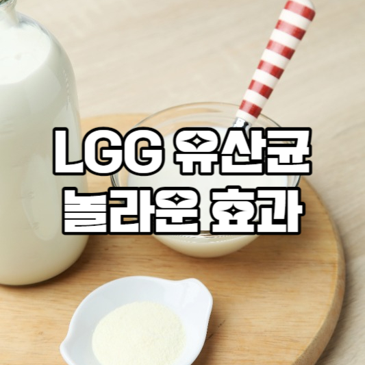 LGG 유산균