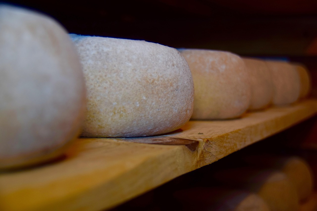 임실치즈축제 관련 사진