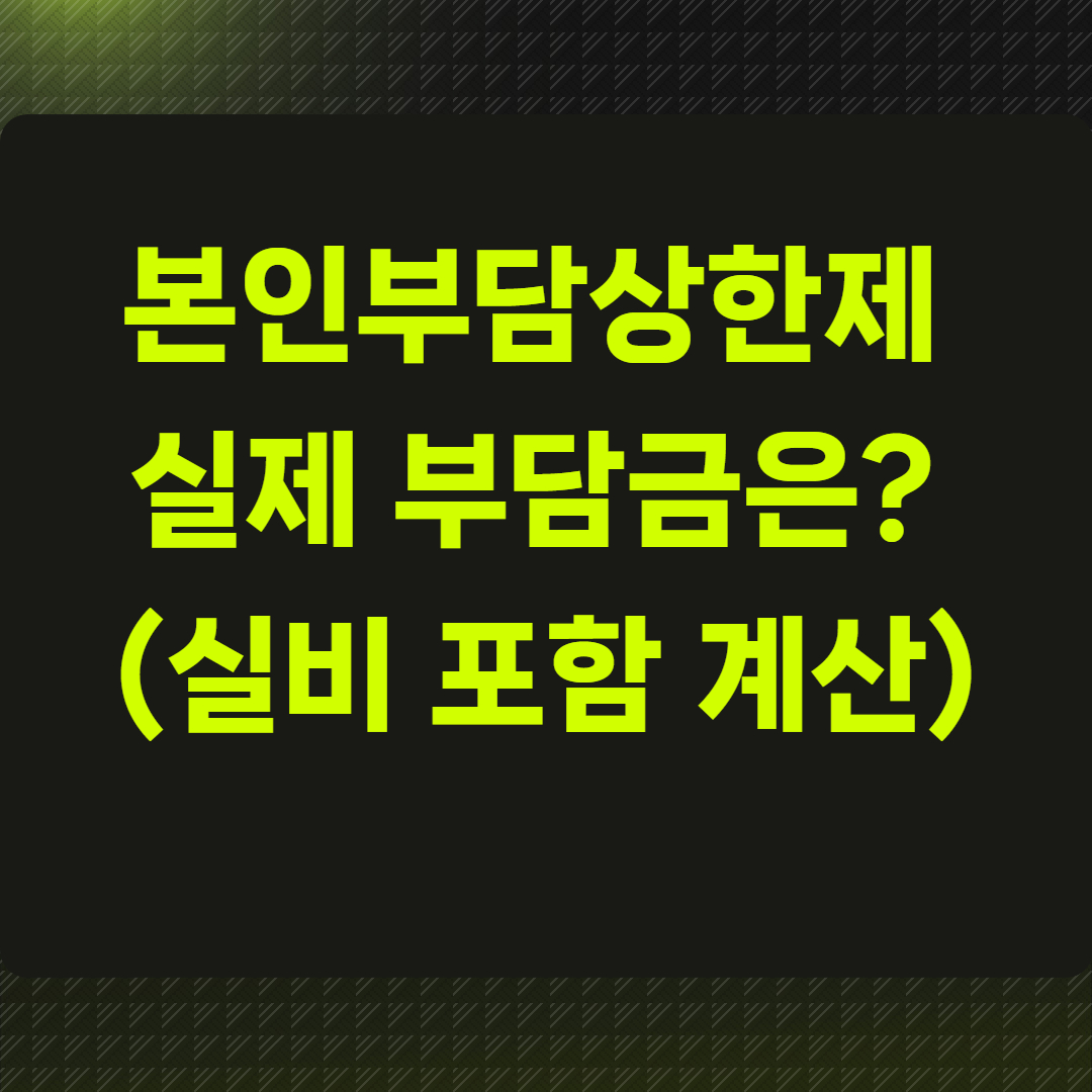 본인부담상한제 적용하면 실제 부담금은?