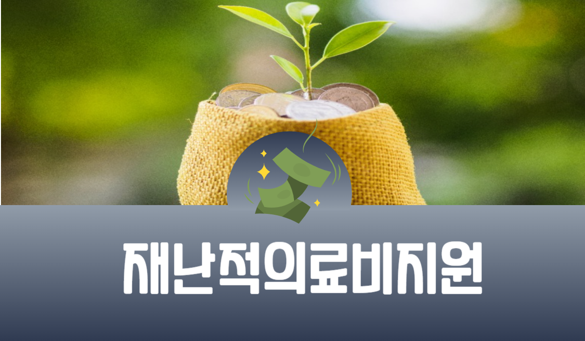 재난적 의료비 지원