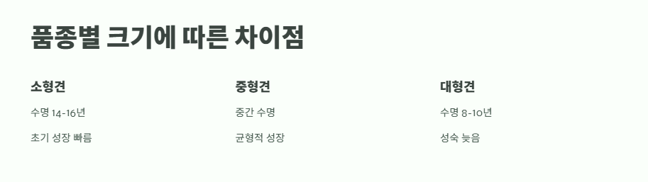 강아지 나이 계산법 완벽 정리 3