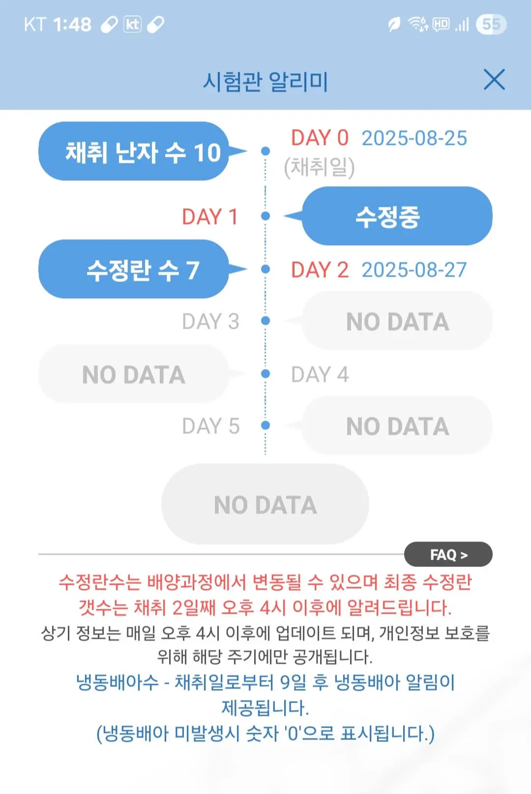포켓마리아