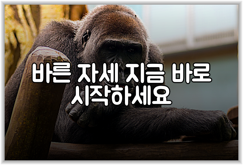 바른 자세 지금 바로 시작하세요