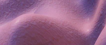 2025 노인 장기요양등급 신청