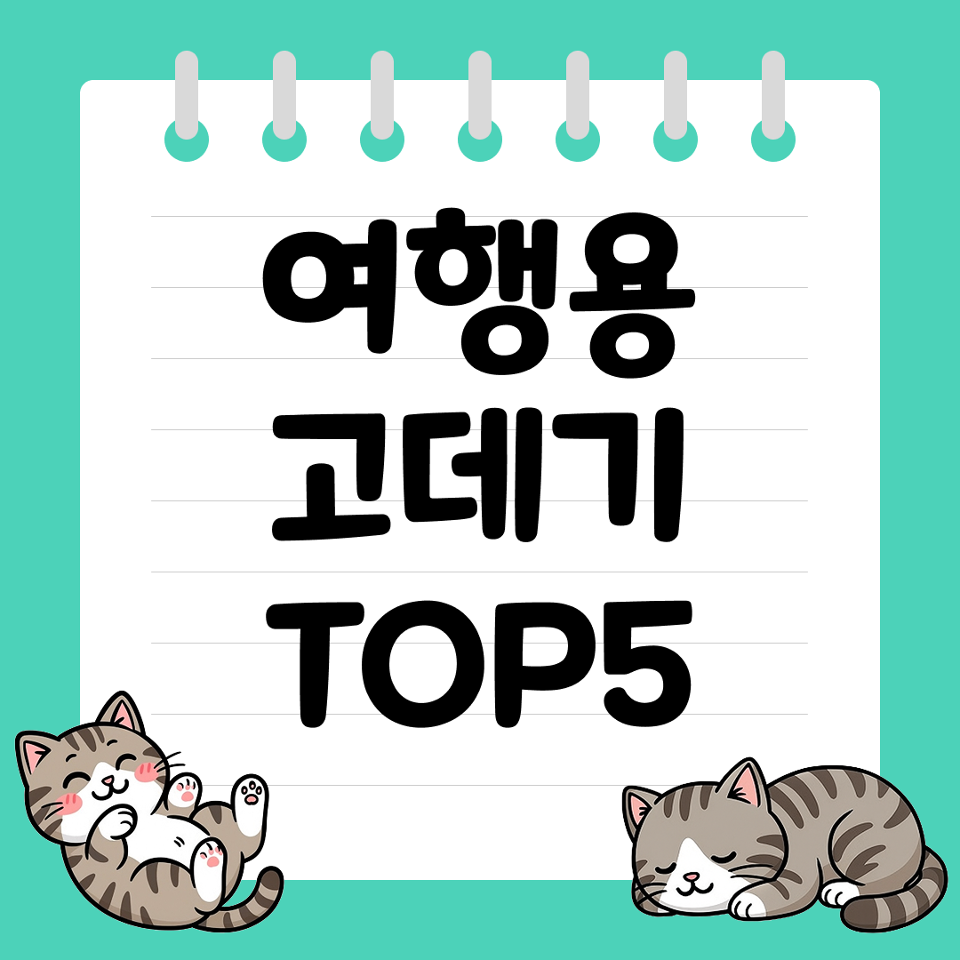 공항에서 압수 당한 사람이 알려주는 여행용 고데기 추천 순위 TOP5