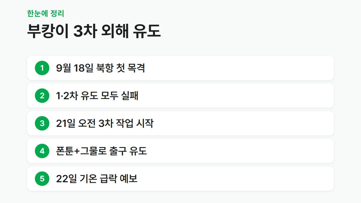 부캉이 3차 외해 유도 일정과 핵심 내용을 정리한 카드