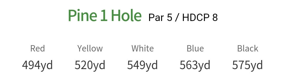 솔모로 컨트리클럽 파인코스 1